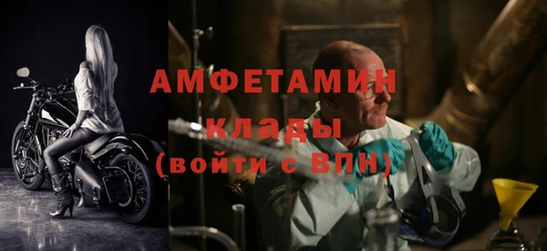 прущие грибы Баксан