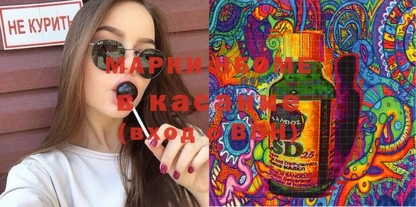 прущие грибы Баксан