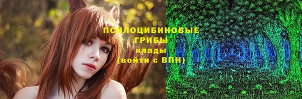 дживик Строитель