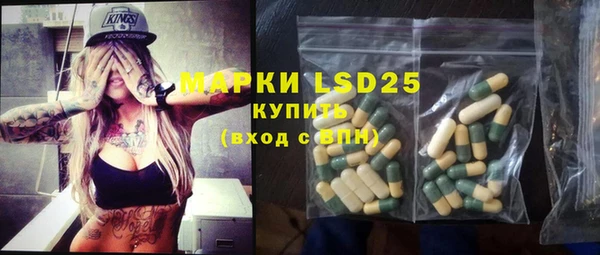 прущие грибы Баксан