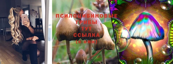 прущие грибы Баксан