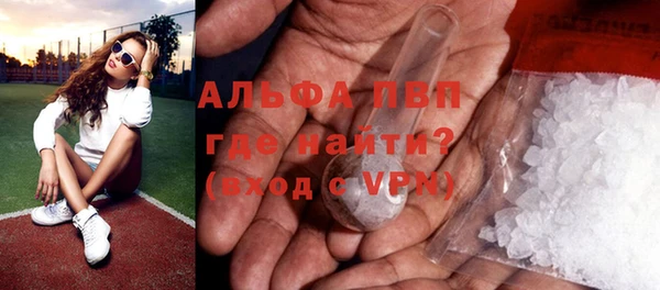 прущие грибы Баксан