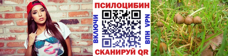 Псилоцибиновые грибы GOLDEN TEACHER Яхрома